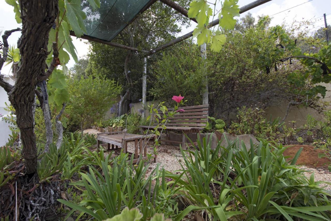 607 Lorena Villa
